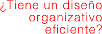 ¿Tiene un diseño organizativo eficiente?