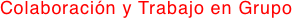 Colaboración y Trabajo en Grupo